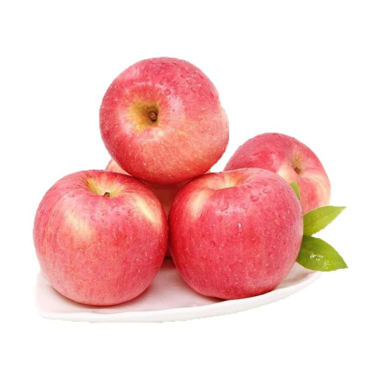 十款个大饱满口感脆甜的苹果-苏宁头条